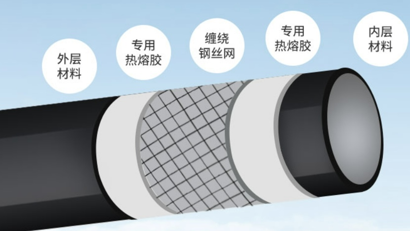 四肖必开