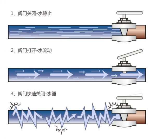 四肖必开