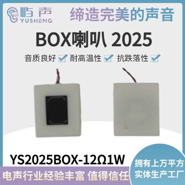 YS2025BOX-12Ω1W