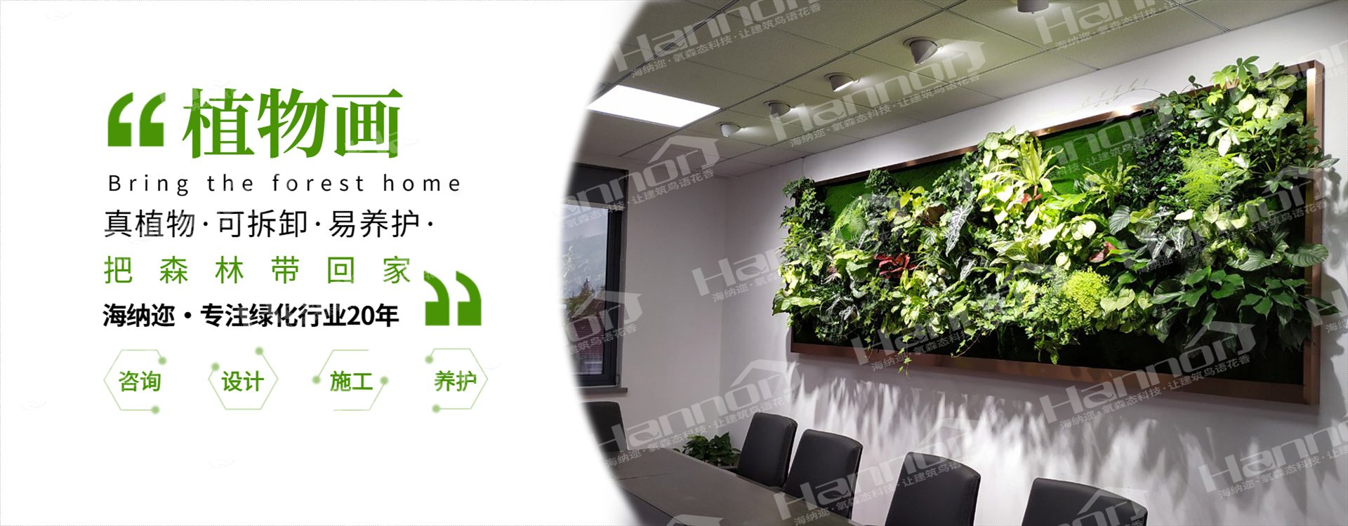 植物墙手把手教学