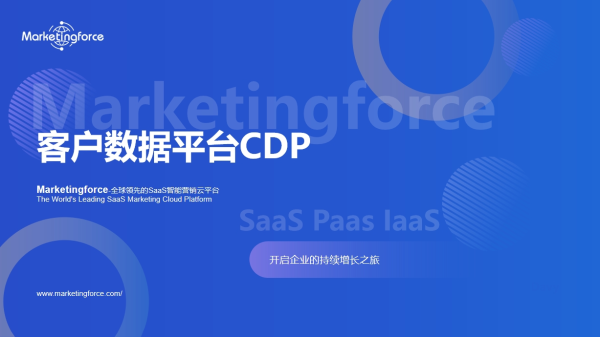 客户数据平台CDP