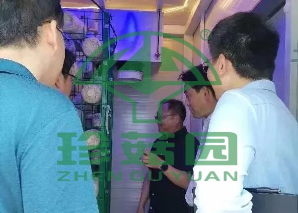 蘑菇方舱落地永大菌业.jpg 蘑菇方舱落地永大菌业.jpg