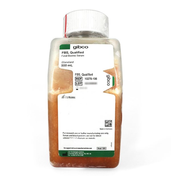 Gibco胎牛血清