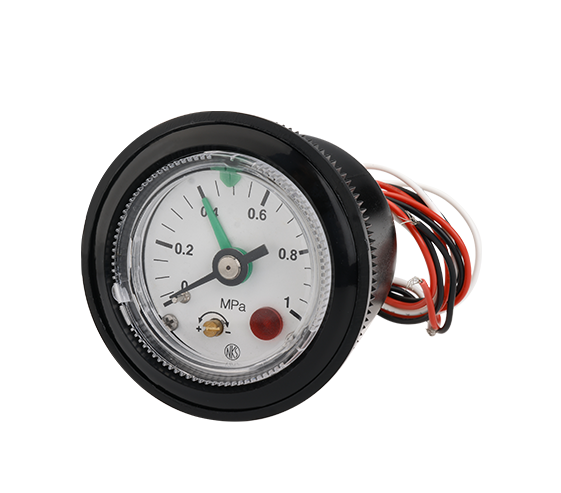 GRS系列 帶開關壓力表