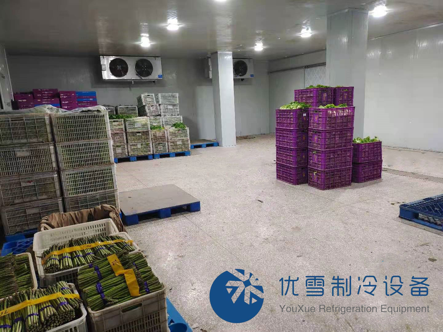 杭州保鲜库厂家-冷冻库价格-食品冷库安装-杭州优雪制冷设备有限公司