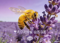 山蜂人，山野甄選