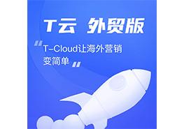 T云?外貿版