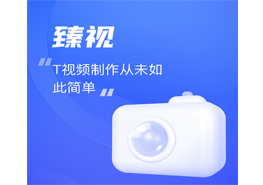 臻視