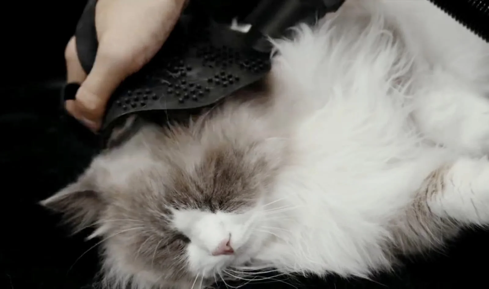 Customized WIIPAK BP20