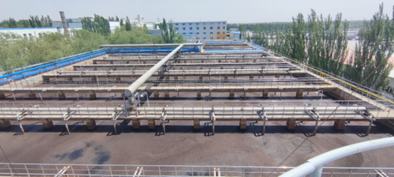 警惕！高溫+黑臭水體=病菌溫床