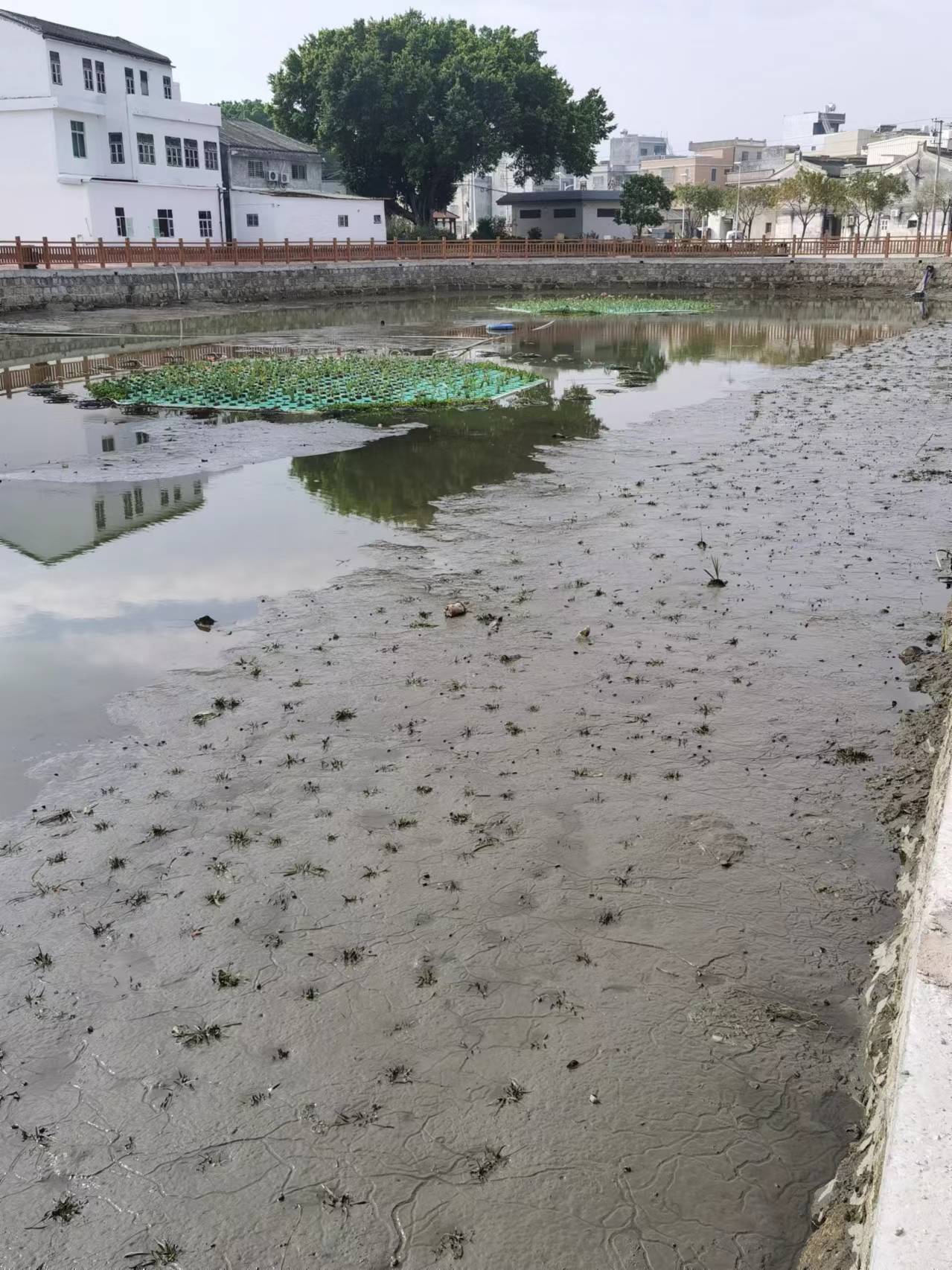 黑臭水體湖泊治理