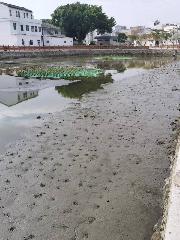 黑臭水體湖泊治理