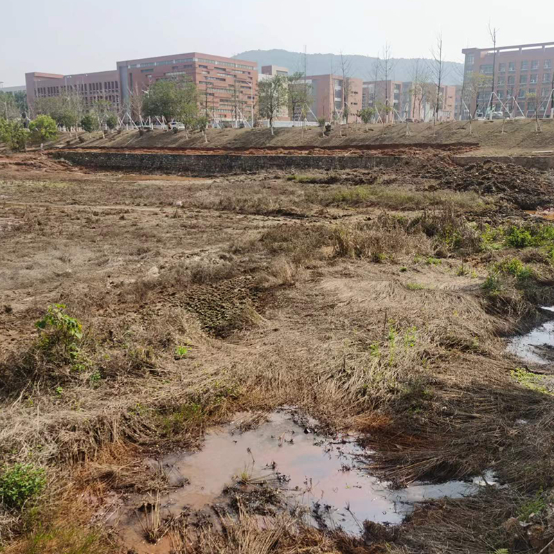 高標準農田治理