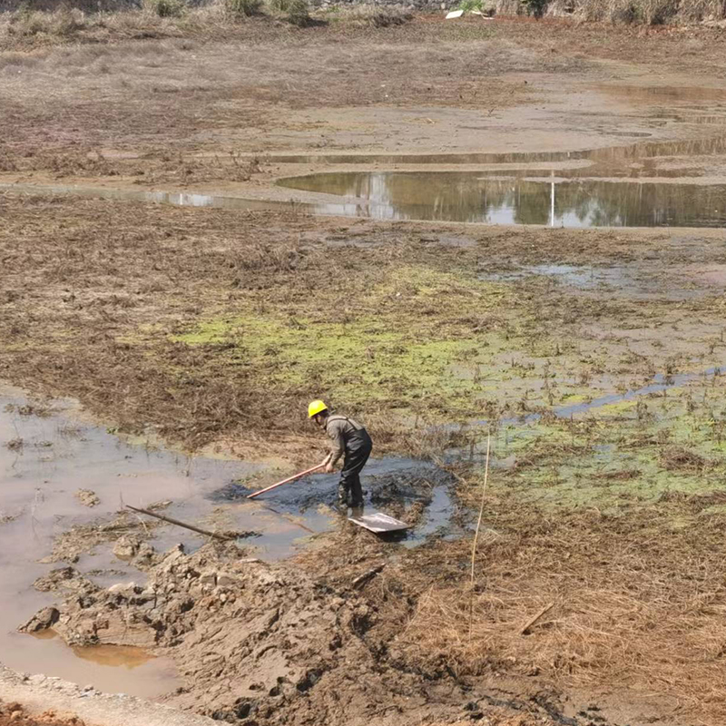高標準農田治理