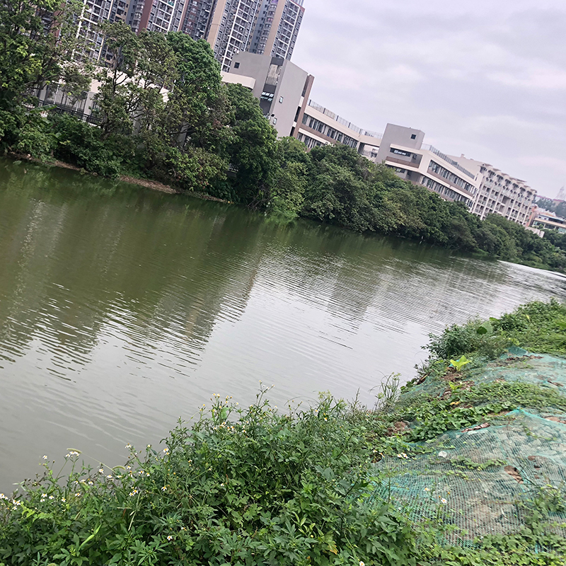 黑臭水體湖泊治理