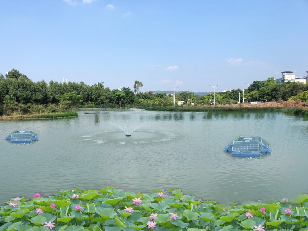 黑臭水體湖泊治理