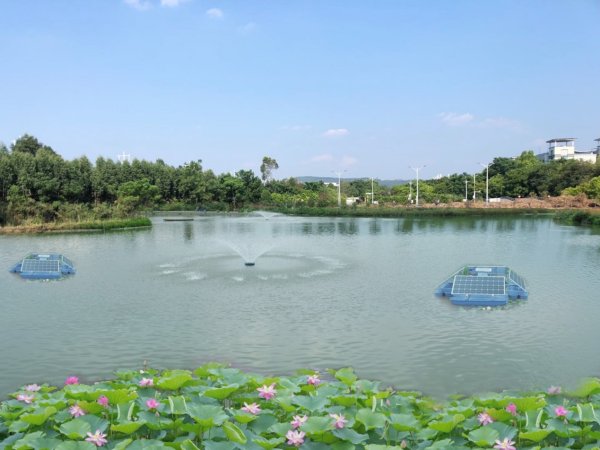 黑臭水體湖泊治理