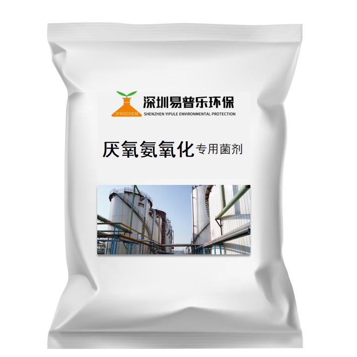 厭氧氨氧化 專用菌劑