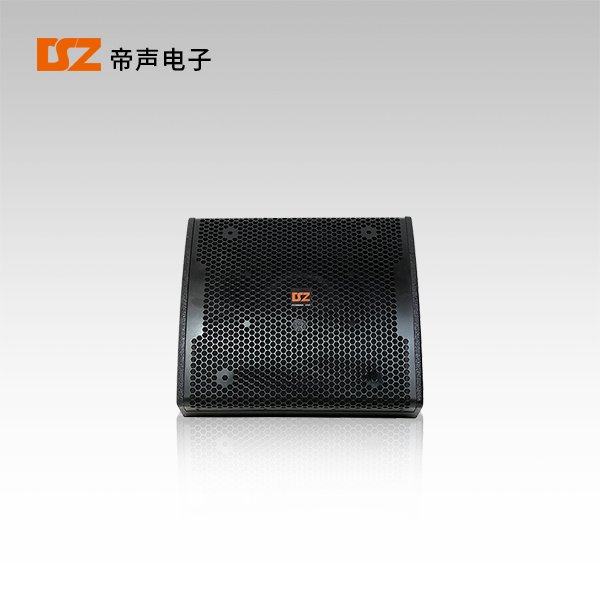12寸同軸返聽音箱DS-FM12