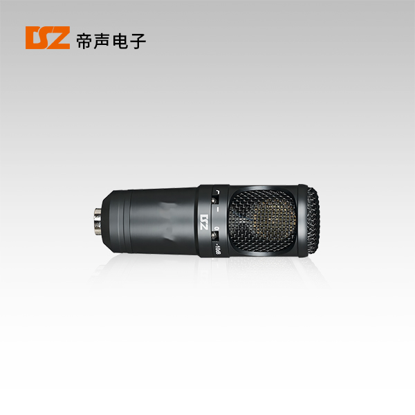 合唱麥DS-530