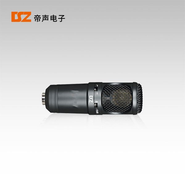 合唱麥DS-530
