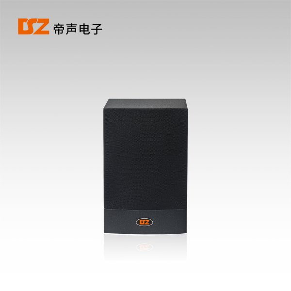 壁掛音箱DS-B211M