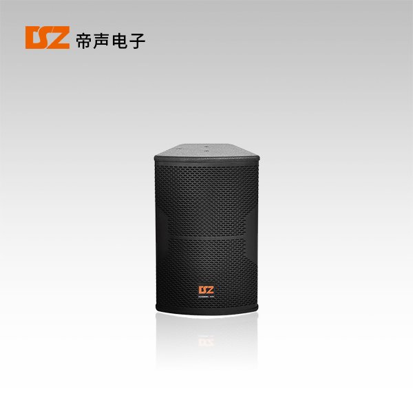 專(zhuān)業(yè)音箱DS-Q308