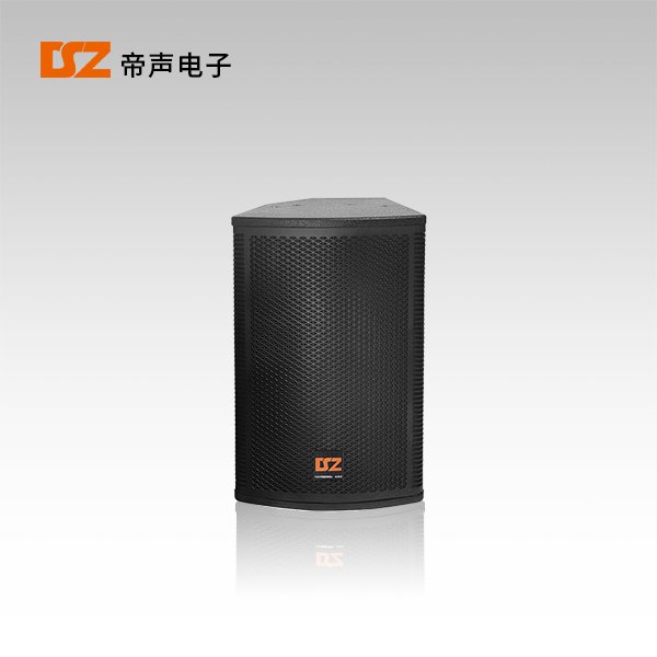 專(zhuān)業(yè)音箱DS-F308