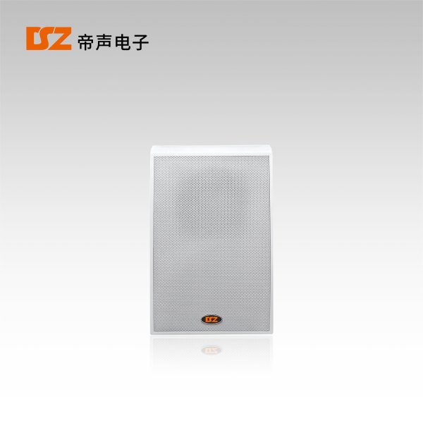 壁掛音箱DS-B103