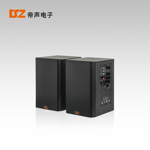 有源音箱DS-115Y