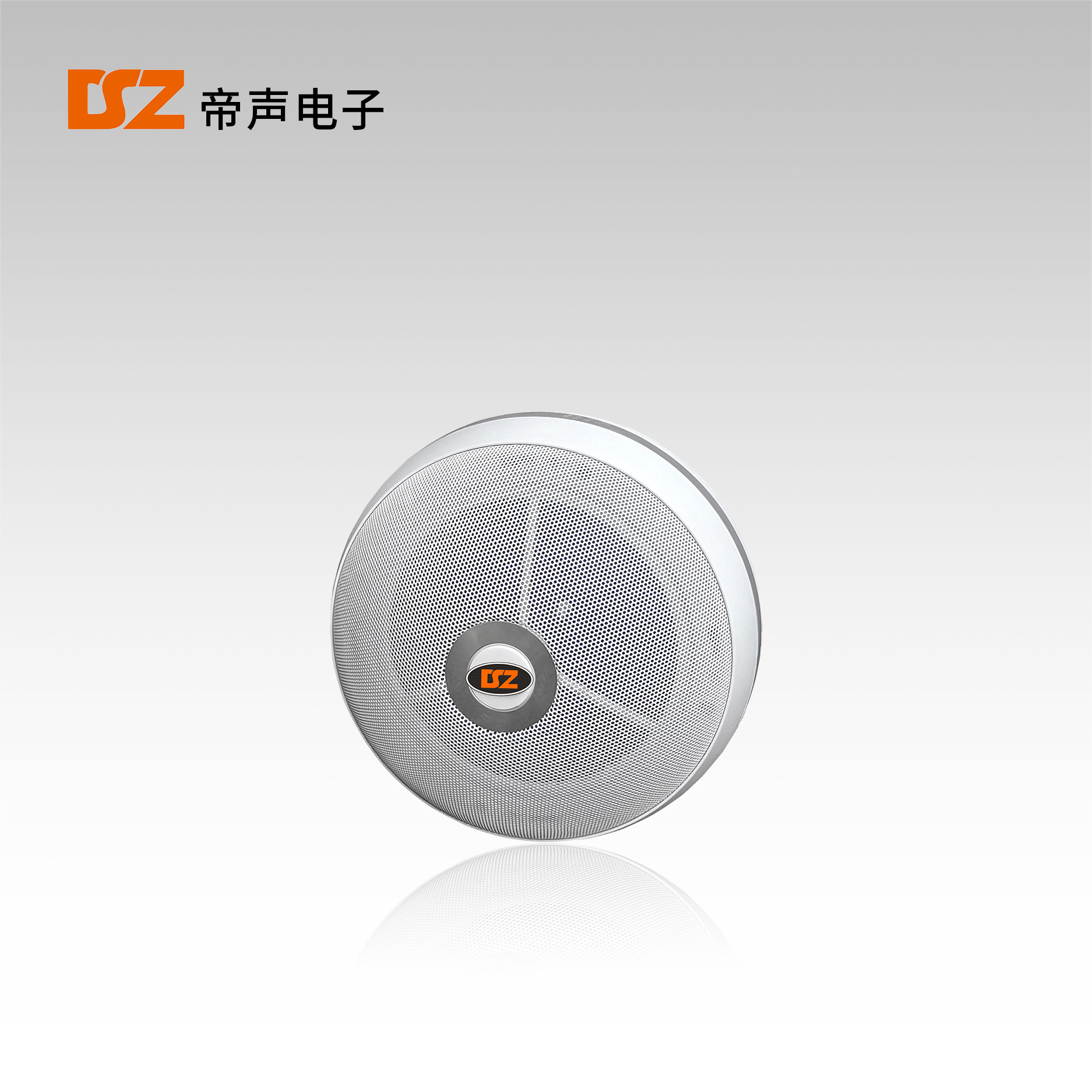 明裝天花喇叭DS-T206M