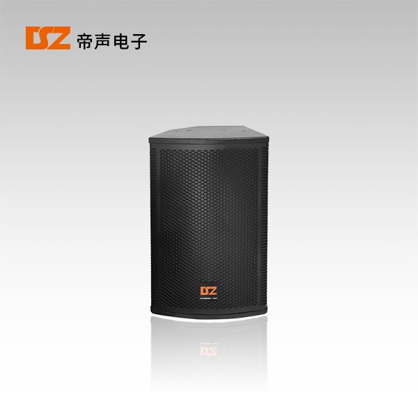 專(zhuān)業(yè)音箱DS-F315