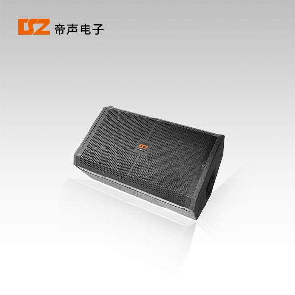 專(zhuān)業(yè)音箱DS-FQ12