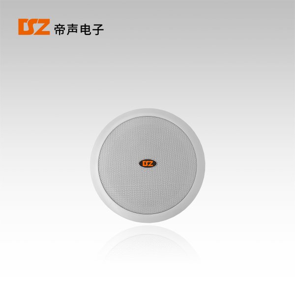 天花喇叭DS-T205