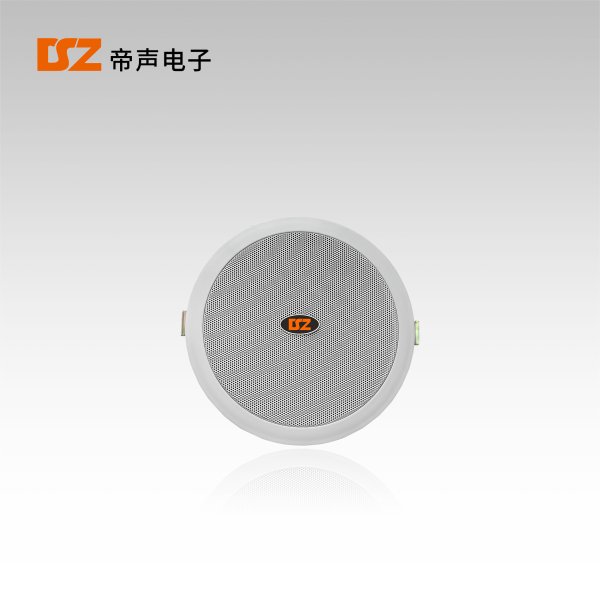 天花喇叭DS-T206