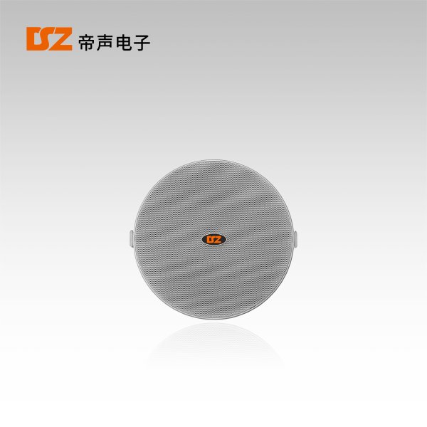 天花喇叭DS-T204Z、DS-T205Z