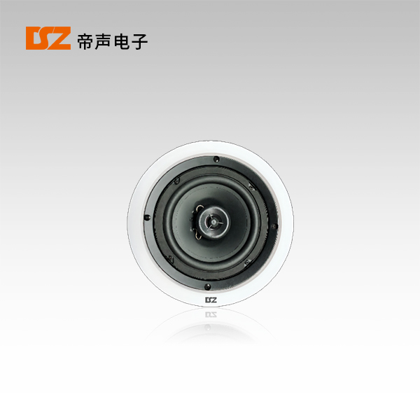 吸頂揚(yáng)聲器DS-T240R