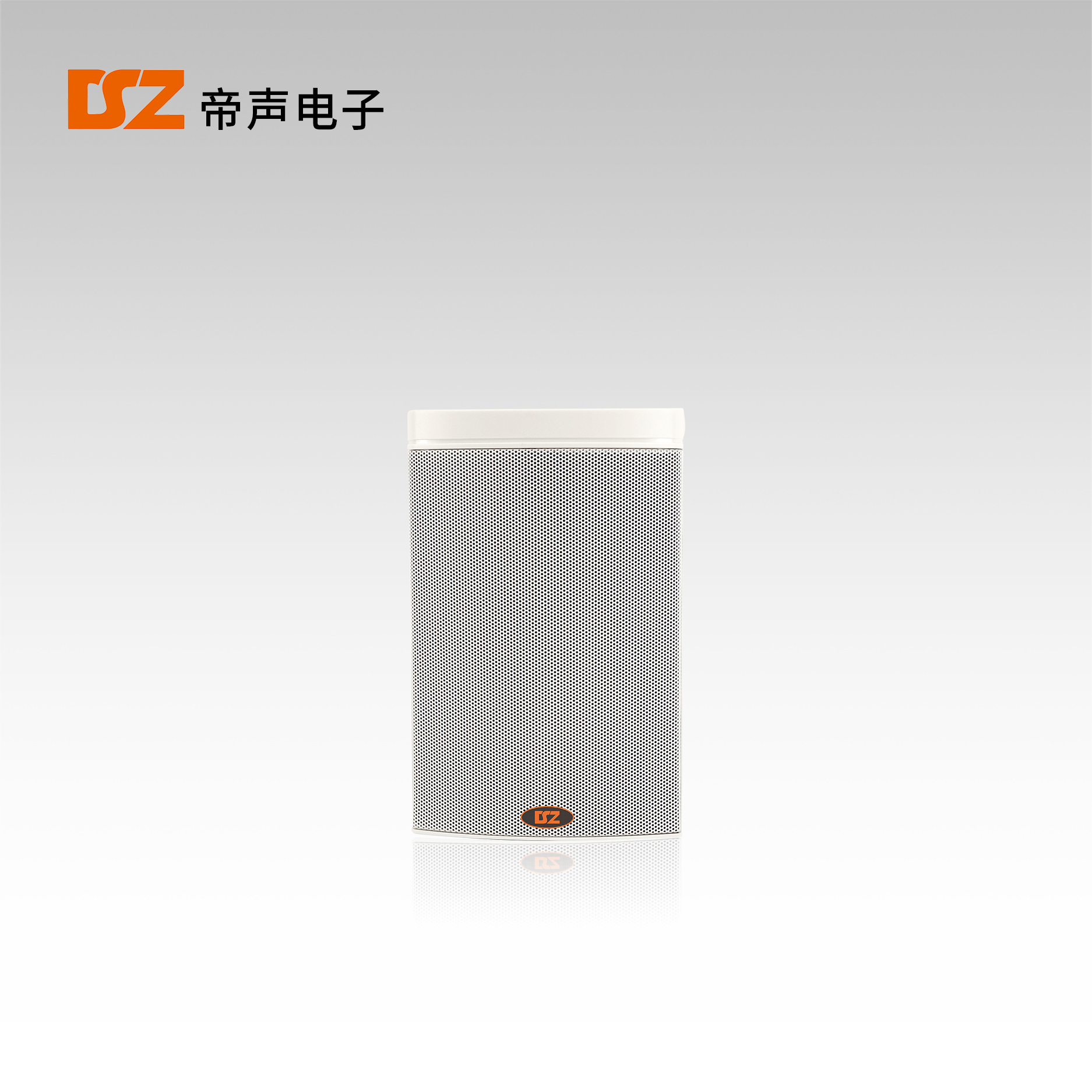 IP網(wǎng)絡(luò)音箱DS-8807BGW