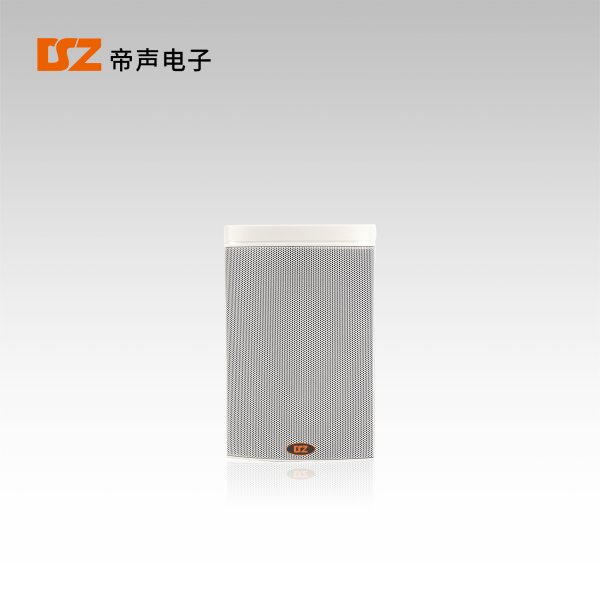 IP網(wǎng)絡(luò)音箱DS-8807BGW