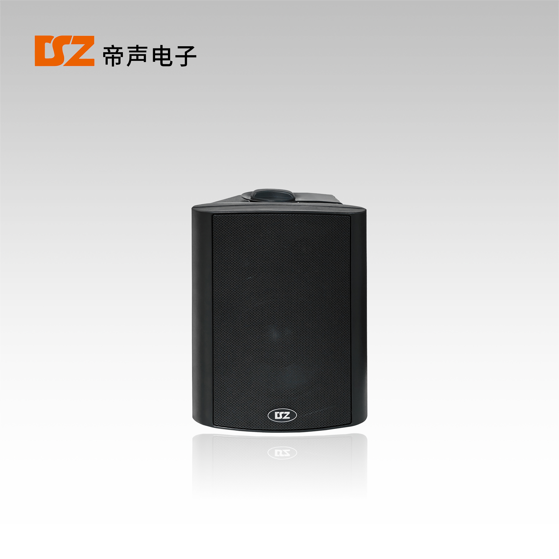 壁掛音箱DS-B201S