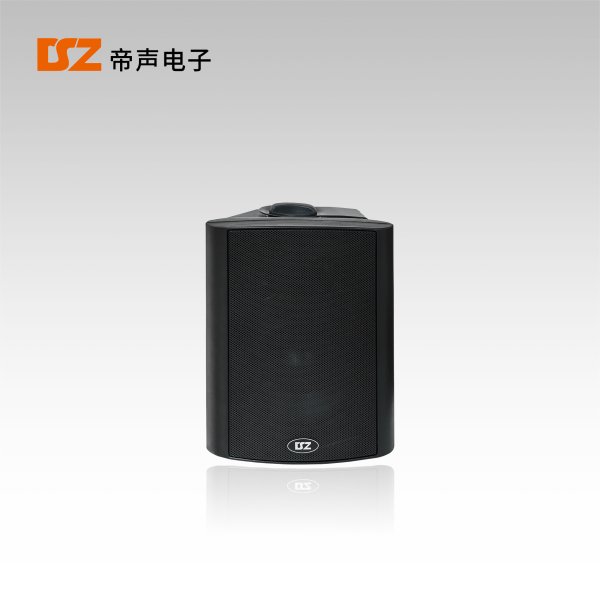 壁掛音箱DS-B201S