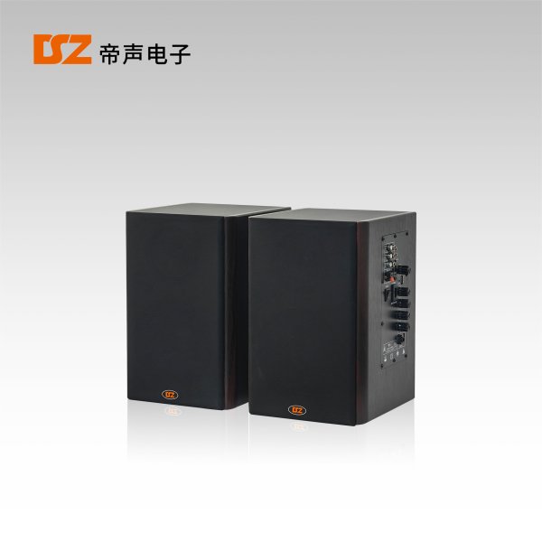 有源音箱DS-106Y