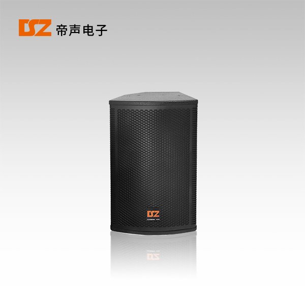 專(zhuān)業(yè)音箱DS-F310