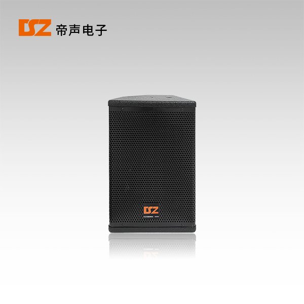 專(zhuān)業(yè)音箱DS-F306