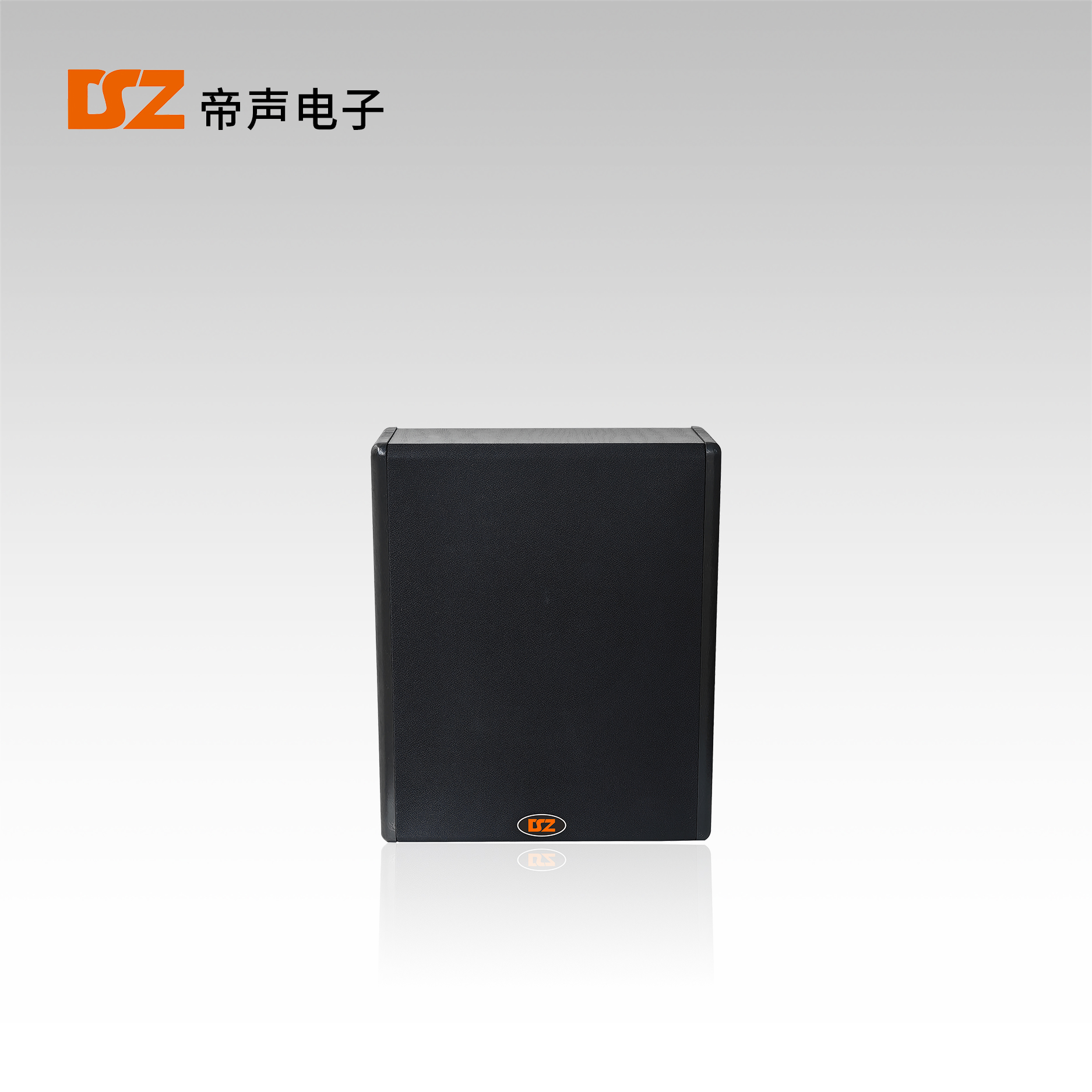壁掛音箱DS-B212M