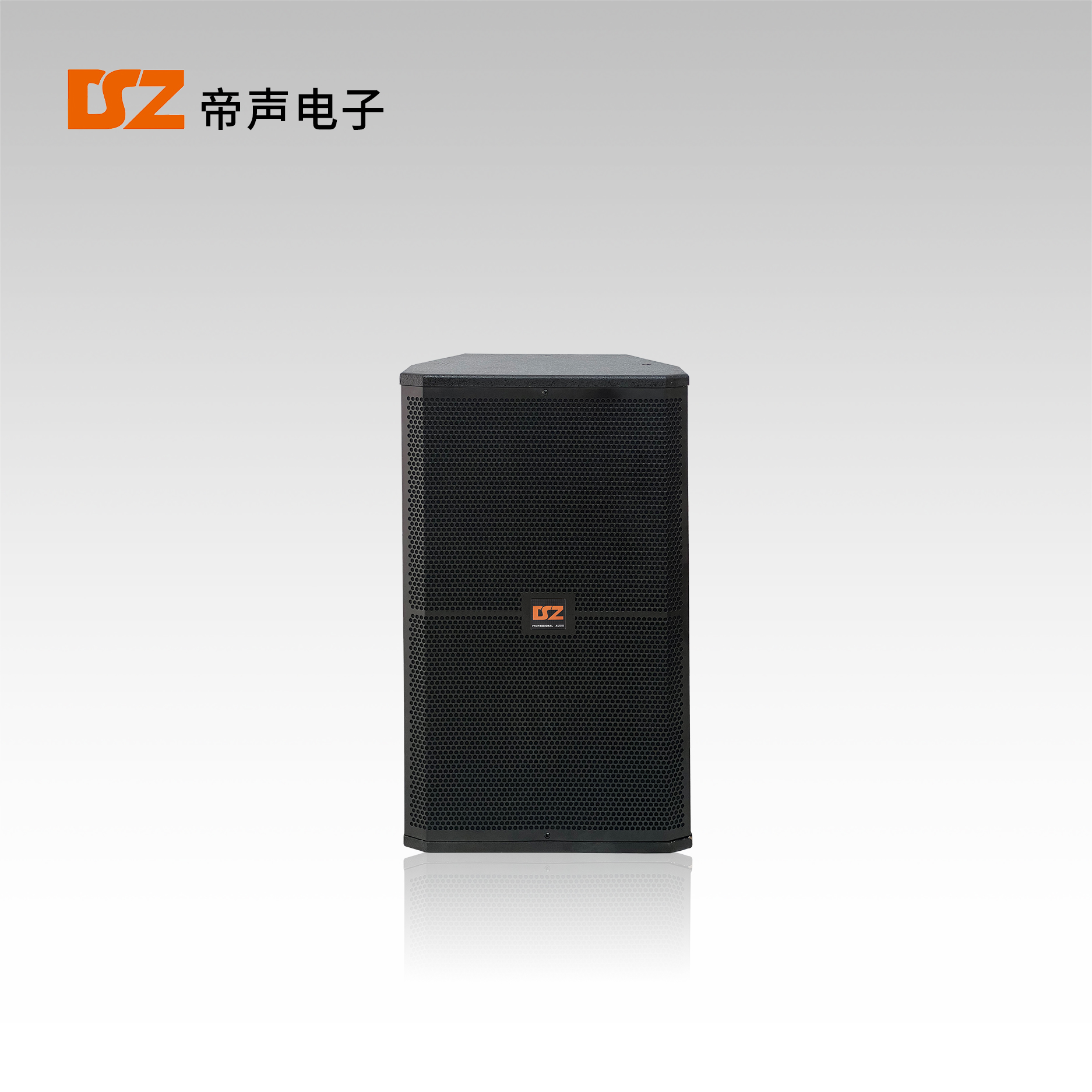 專業(yè)音箱DS-FQ15