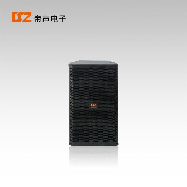 專(zhuān)業(yè)音箱DS-FQ15