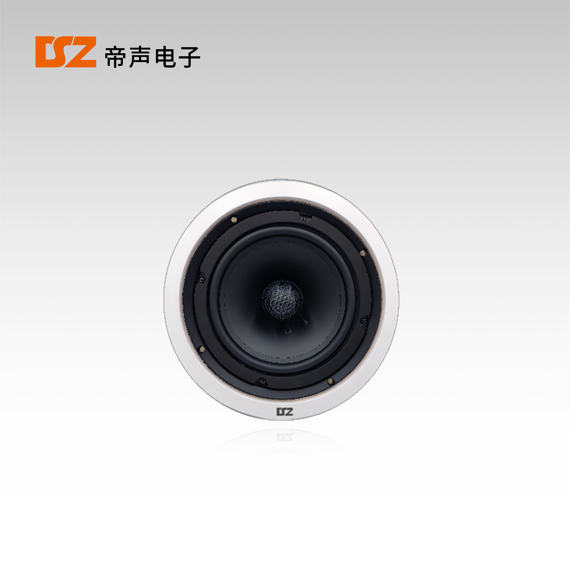 吸頂揚聲器DS-T280R