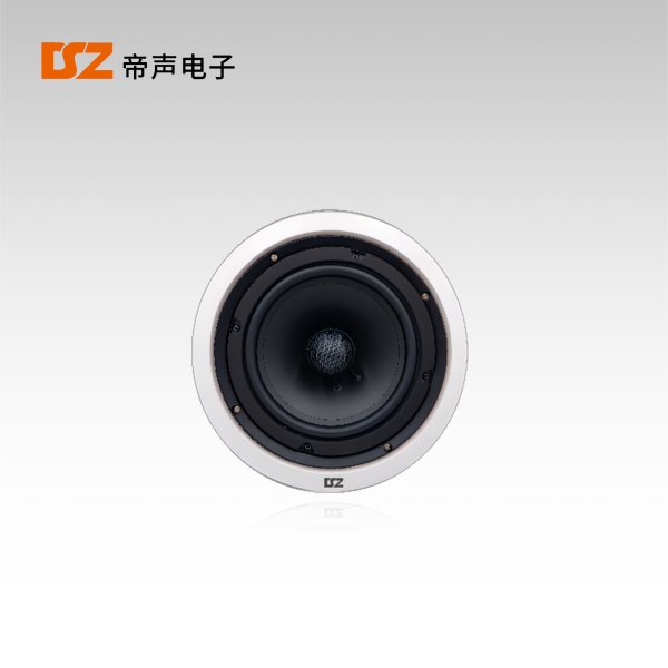 吸頂揚(yáng)聲器DS-T280R