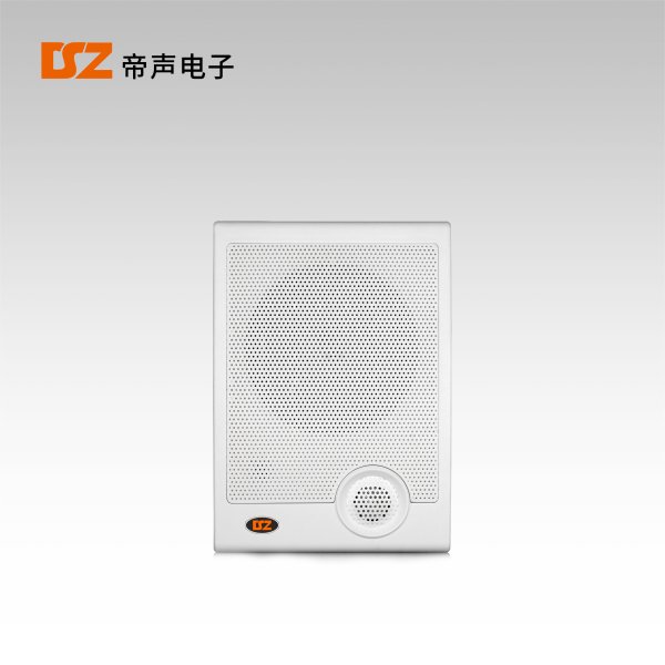 壁掛音箱DS-B101